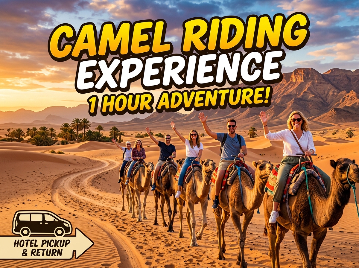 Camel Riding Experience