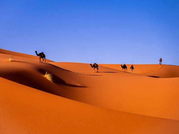 Morocco adventure